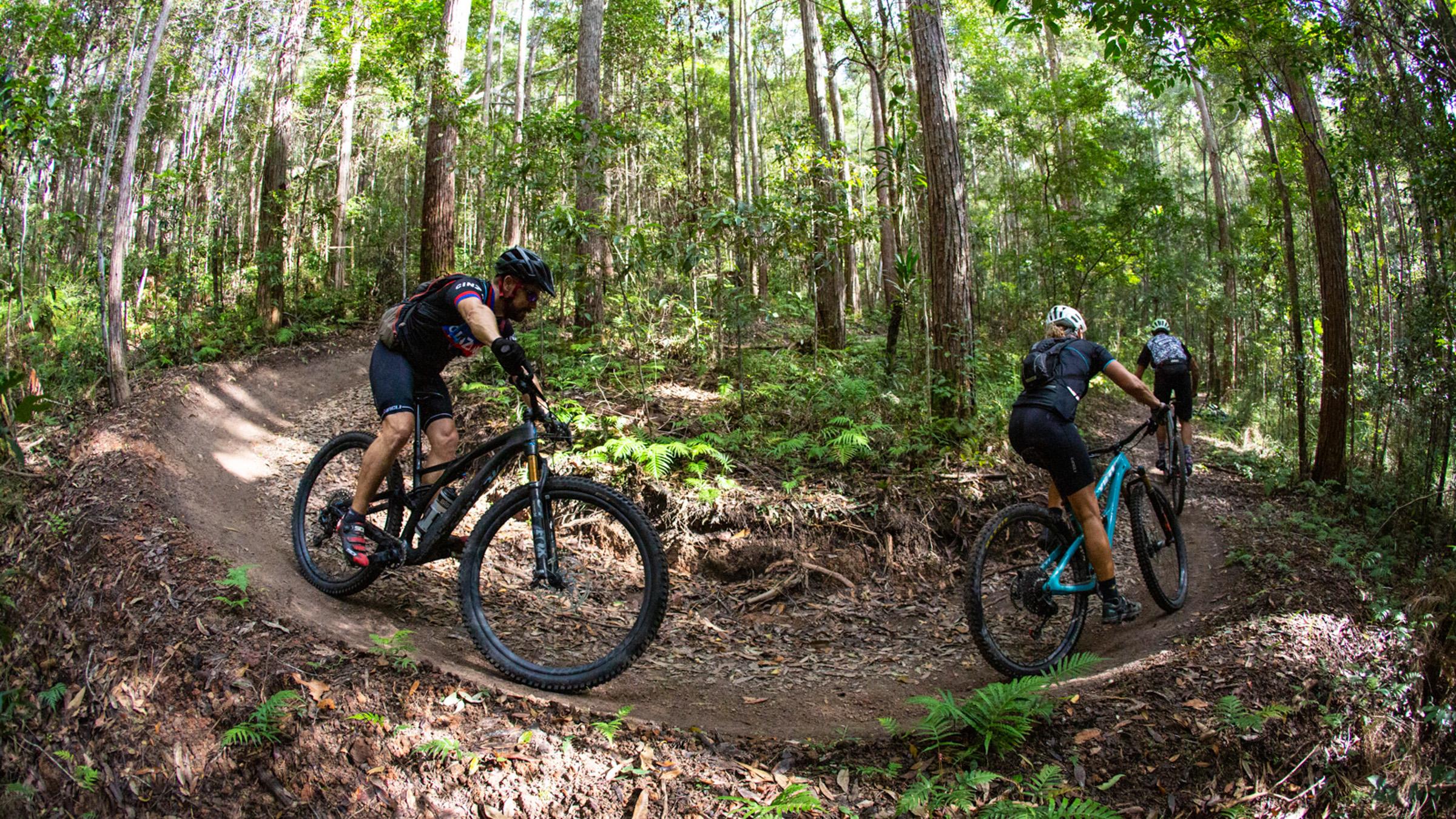Three mountain bikers racing downhill on a dirt track through a Sunshine Coast forest