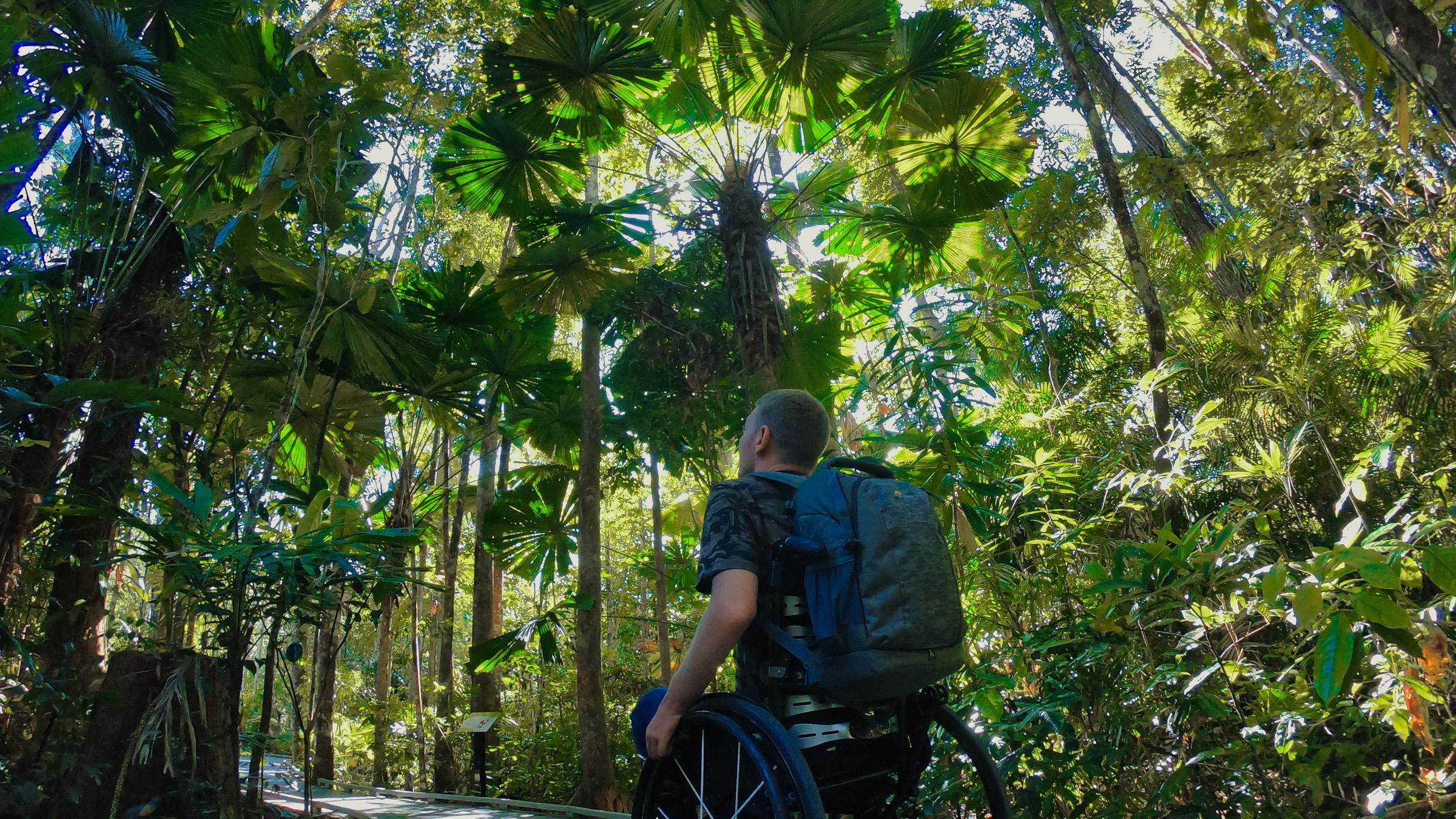 Man using a wheelchair to explore along a boardwalk in a tropical Queensland rainforest